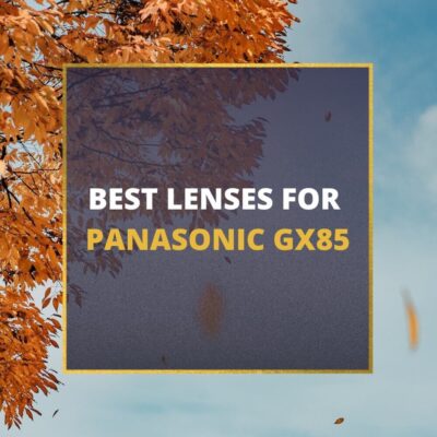 📸 5 MUST-OWN Lenses For Panasonic GX85 In 2024 [Guide]