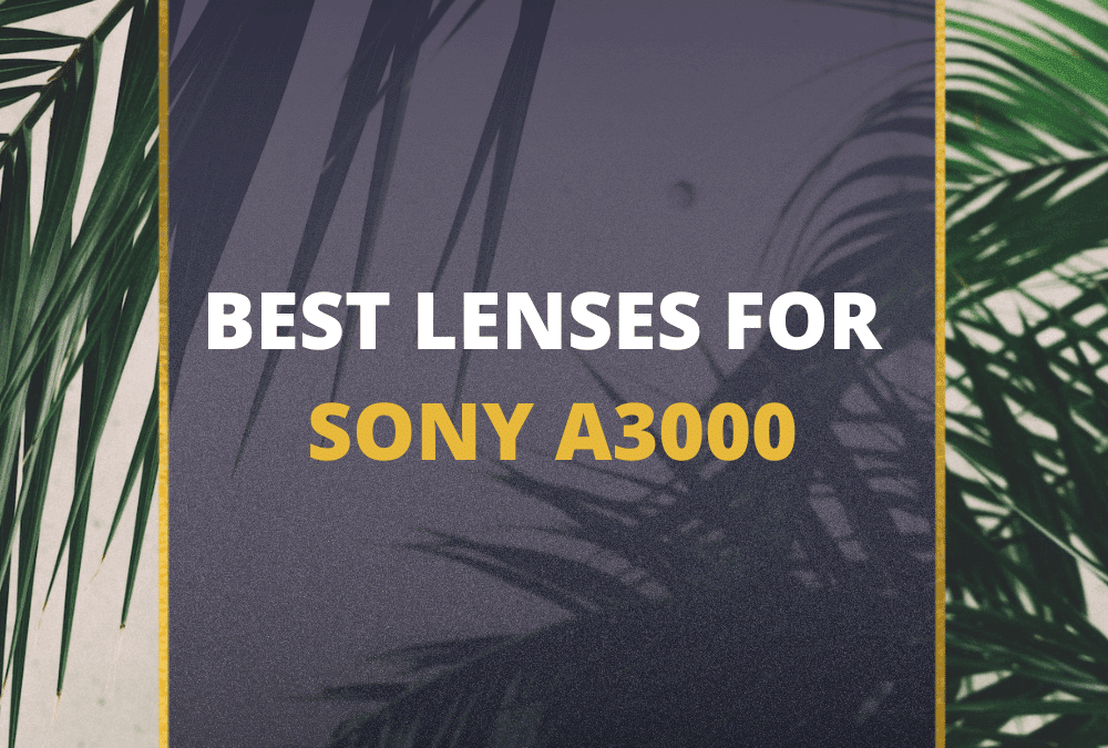 📸 5 MUST-OWN Lenses For Sony A3000 In 2026 [Guide]