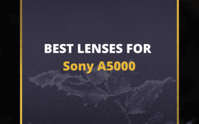 📸 5 MUST-OWN Lenses For Sony A5000 In 2024 [Guide]