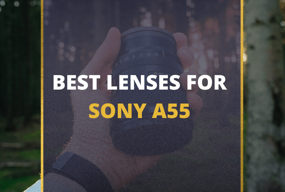 📸 5 MUST-OWN Lenses For Sony A55 In 2026 [Guide]