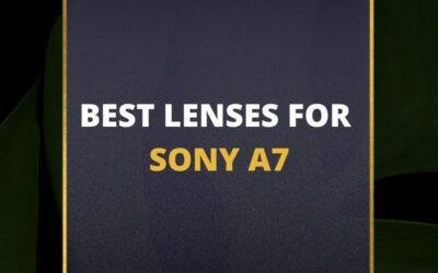 📸 5 MUST-OWN Lenses For Sony A7 In 2024 [Guide]