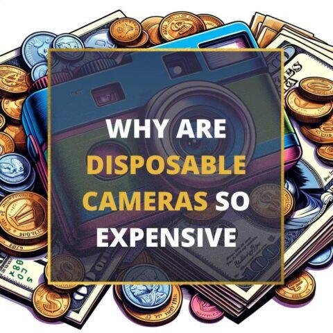 Why Are Disposable Cameras So Expensive? (6 Reasons) - Buying lenses