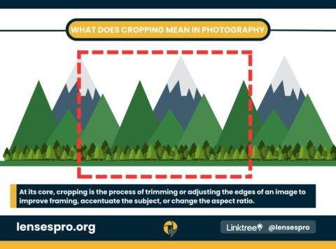Cropping Vs Rearranging How to Crop an Image: A Beginner's Guide For Perfect Images - Buying ...