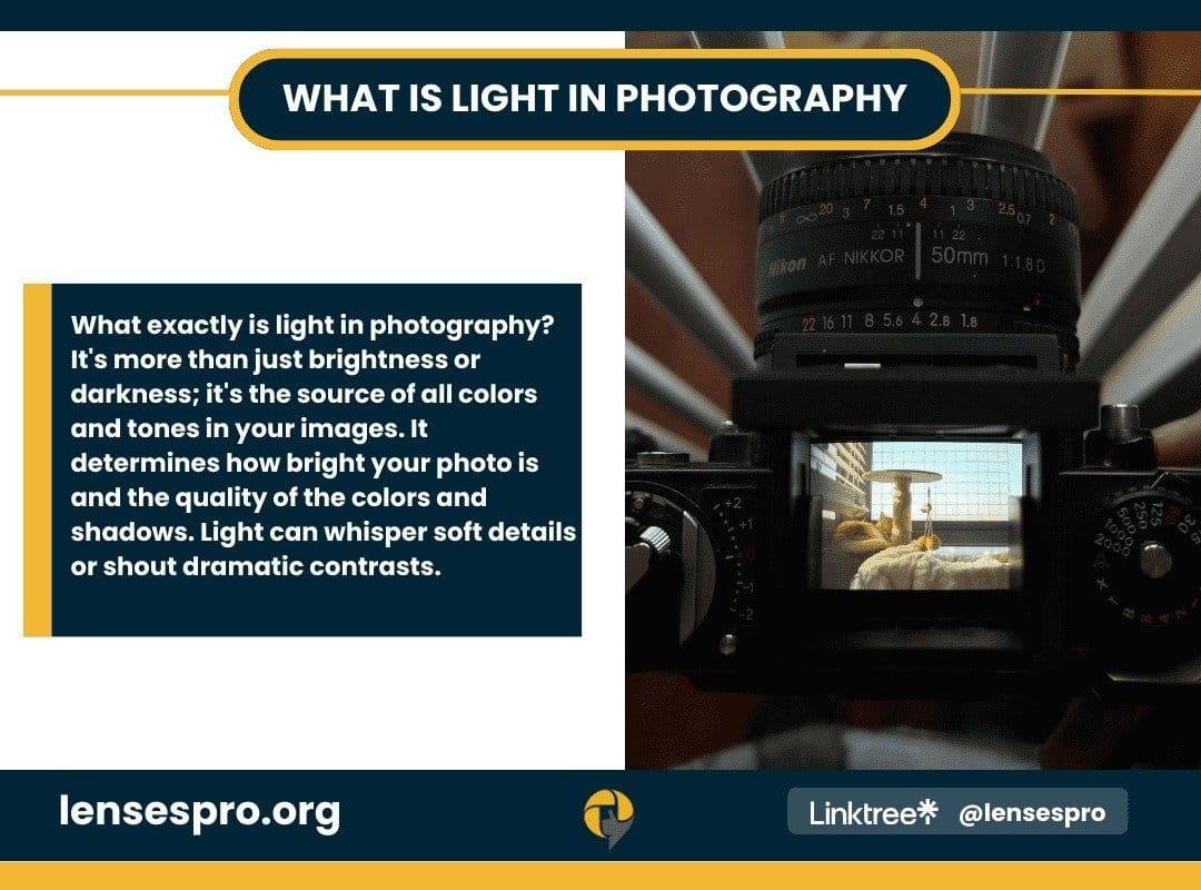 What is Light in Photography What is Light in Photography