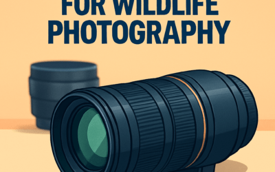5 Best Budget Lenses for Wildlife Photography – Buying Guide (2026)