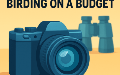5 Best Cameras for Birding on a Budget &ndash; Ultimate Guide (2026)