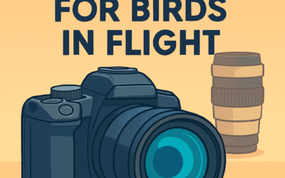 5 Best Cameras for Birds in Flight &ndash; Ultimate Guide (2026)