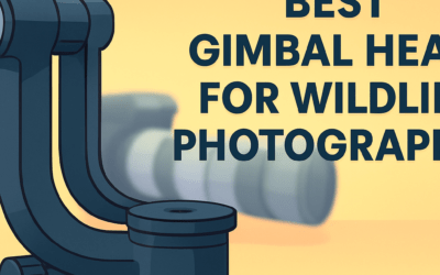 5 Best Gimbal Heads For Wildlife Photography – Ultimate Guide (2026)