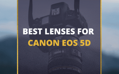 📸 5 MUST-OWN Lenses For Canon 5D In 2024 (Guide)