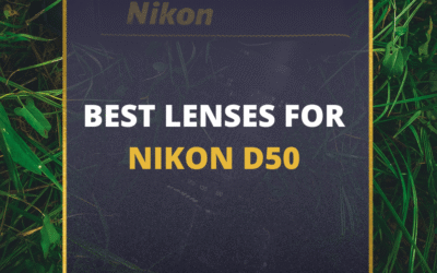 📸 5 MUST-OWN Lenses For Nikon D50 In 2024 (Guide)