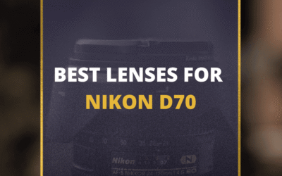 📸 5 MUST-OWN Lenses For Nikon D70 In 2024 (Guide)