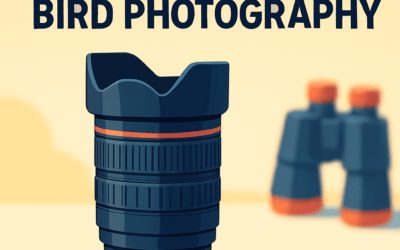 5 Best Lenses for Bird Photography &ndash; Complete Guide (2026)