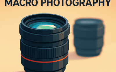 5 Best Lenses for Macro Photography – What to Buy (in 2026)