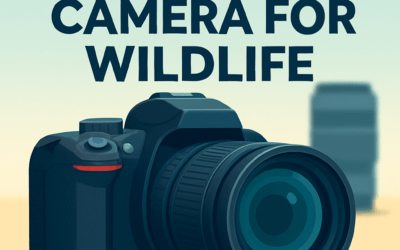 5 Best Nikon Cameras for Wildlife &ndash; Complete Guide (2026)