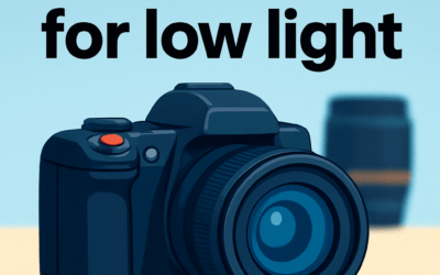 5 Best Nikons for Low Light – Ultimate Guide (2026)