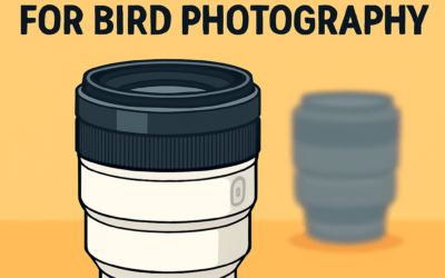 5 Best Sony Lenses for Bird Photography – What to Buy (in 2026)