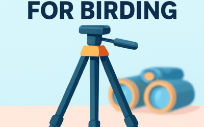 5 Best Tripods for Birding (in 2026)