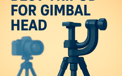 5 Best Tripods for Gimbal Heads &ndash; What to Buy (in 2026)