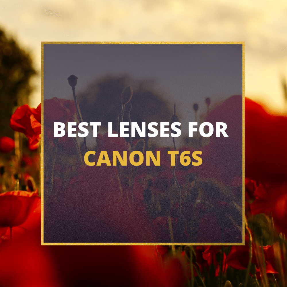 canon T6s lenses