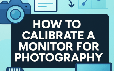 How to Calibrate a Monitor for Photography? (2026)