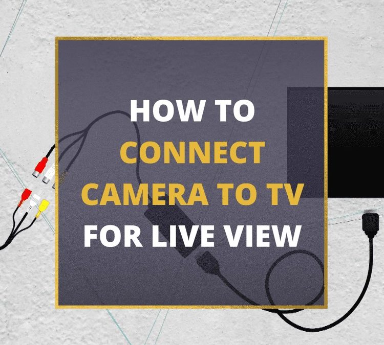 6 Simple Ways to Connect Any Camera to Your TV [USB, HDMI, RCA]