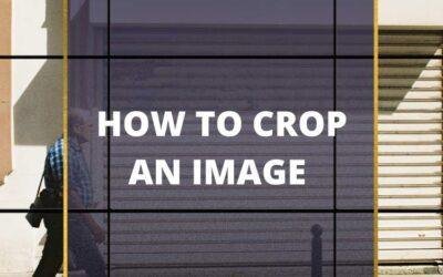 How to Crop an Image: A Beginner’s Guide For Perfect Images