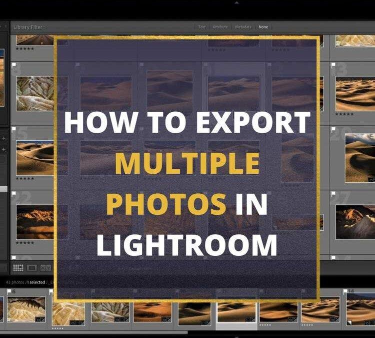 How to Select & Export Photos From Lightroom (Step By Step)