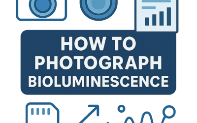 How to Photograph Bioluminescence? (2025)