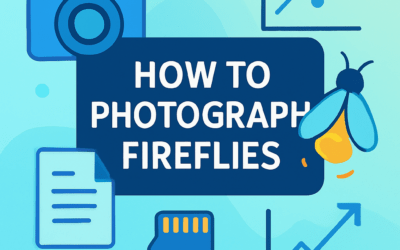How to Photograph Fireflies? (2025)