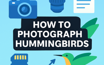 How to Photograph Hummingbirds? (2025)