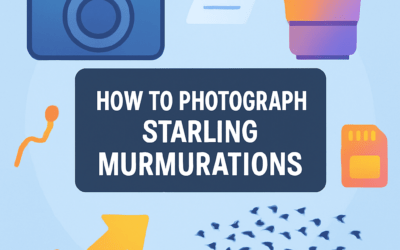 How to Photograph Starling Murmurations? (2025)