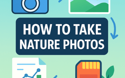 How to Take Nature Photos? (2026)