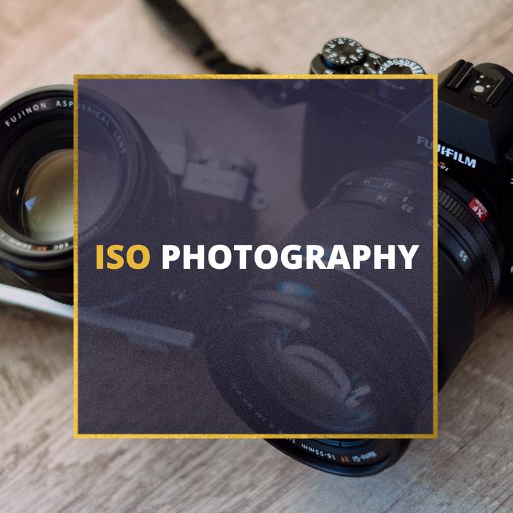 iso photography