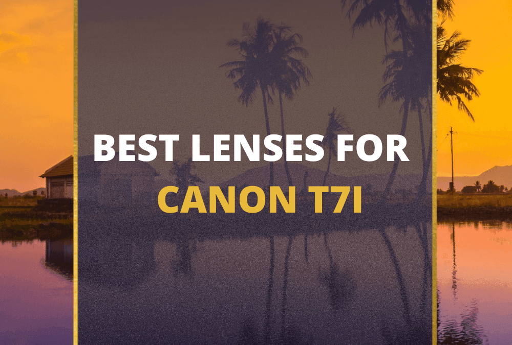 📸 5 MUST-OWN Lenses For Canon T7i In 2026 [Guide]