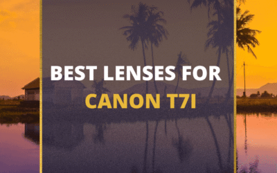 📸 5 MUST-OWN Lenses For Canon T7i In 2024 [Guide]
