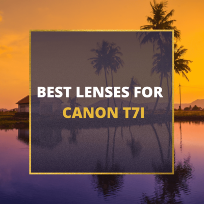 📸 5 MUST-OWN Lenses For Canon T7i In 2024 [Guide]