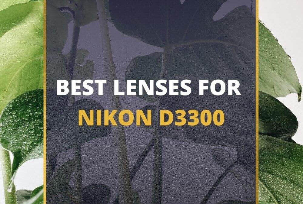 📸 7 MUST-OWN Lenses For Nikon D3300 In 2026 [Guide]