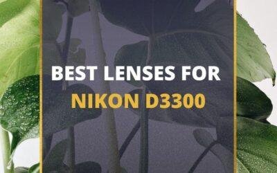 📸 7 MUST-OWN Lenses For Nikon D3300 In 2024 [Guide]