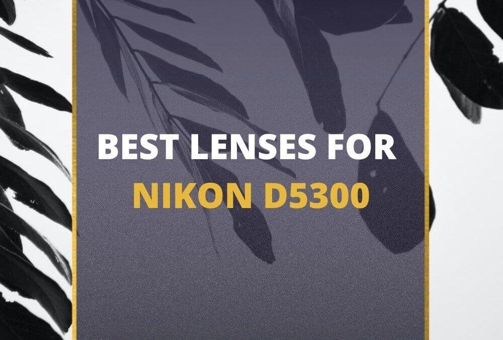 📸 5 MUST-OWN Lenses For Nikon D5300 In 2026 [Guide]