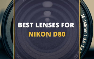 📸 10 MUST-OWN Lenses For Nikon D80 In 2024 (Guide)