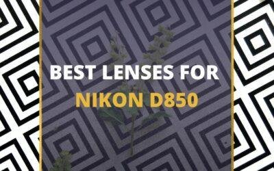 📸 6 MUST-OWN Lenses For Nikon D850 In 2024 [Guide]