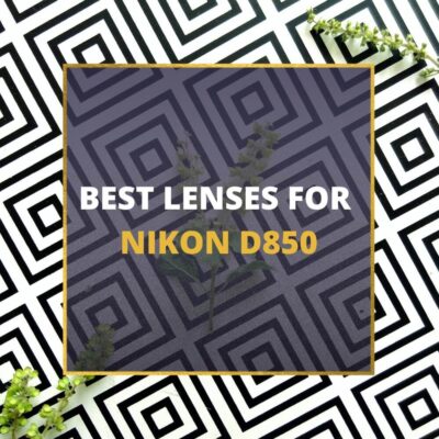 📸 6 MUST-OWN Lenses For Nikon D850 In 2024 [Guide]