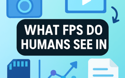 What FPS Do Humans See in? (2026)