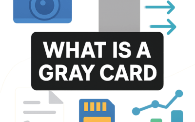 What Is a Gray Card? (2026)