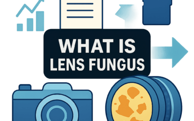 What Is Lens Fungus? (2026)