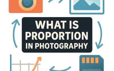 What Is Proportion in Photography? (2026)