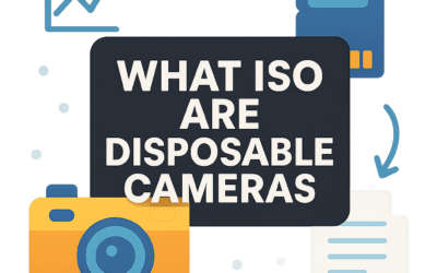 What Iso Are Disposable Cameras? (2025)