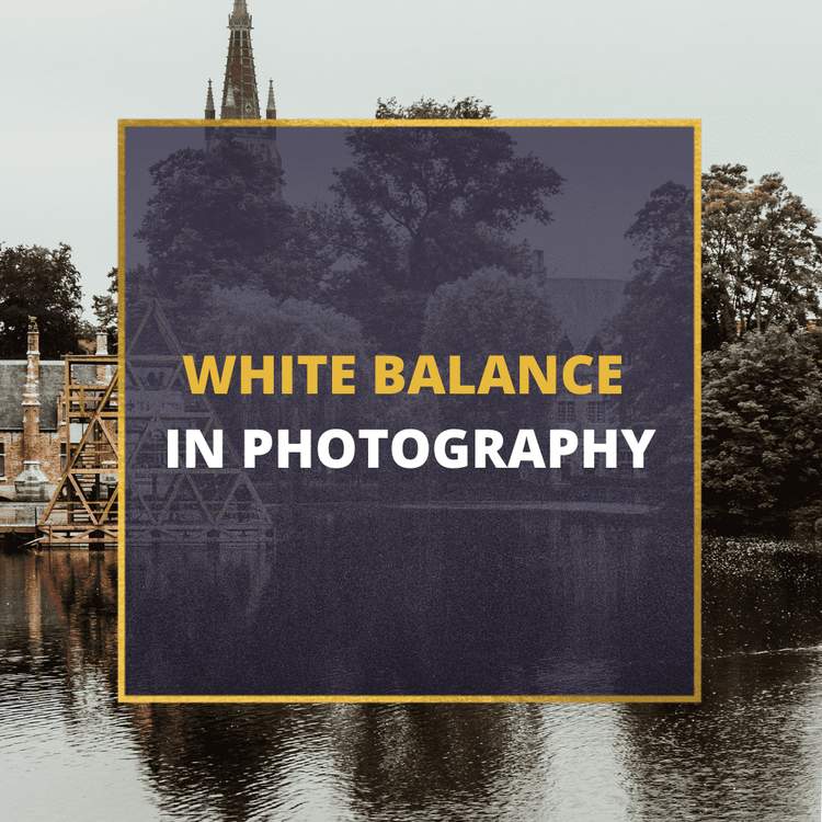 white balance in photography